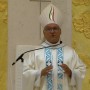 D. José Pereira na Peregrinação a Fátima: «A Diocese não é burocracia, é uma mãe que se desgasta»